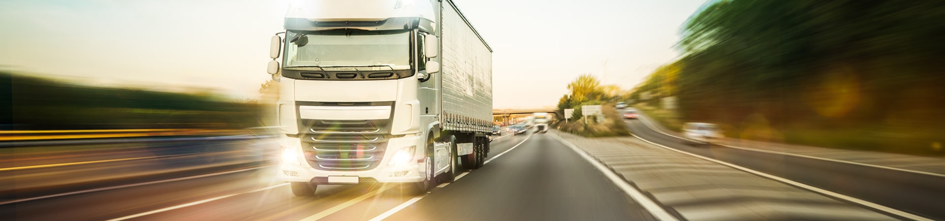 FAS diesel fuel transport